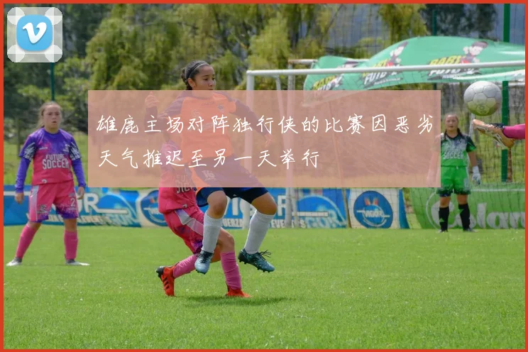 雄鹿主场对阵独行侠的比赛因恶劣天气推迟至另一天举行