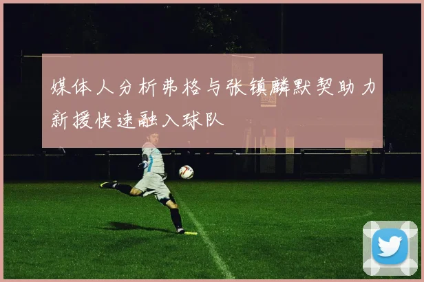 媒体人分析弗格与张镇麟默契助力新援快速融入球队